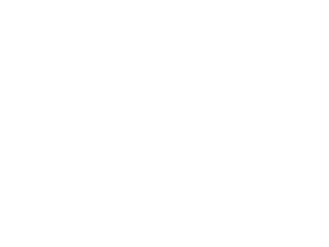 spainity-project-koala-design