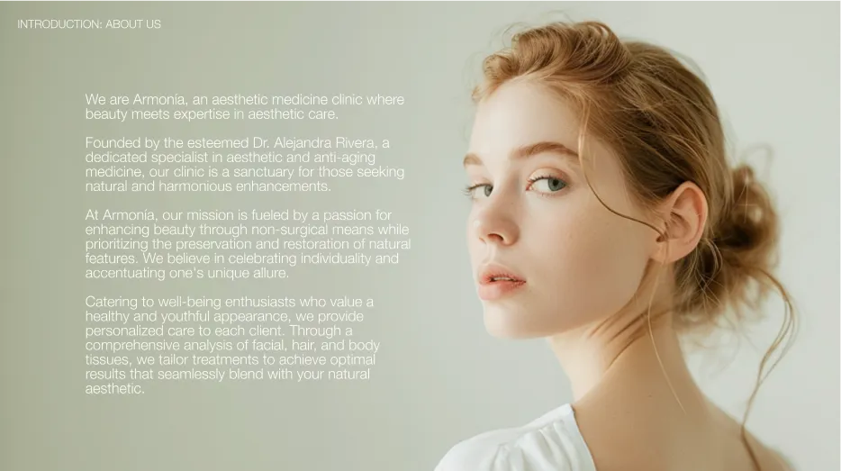 armonia-brand-book2-by-alitura