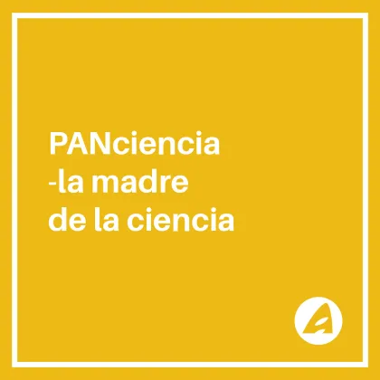 a-los-almuerzos-social-media-design-koala-design